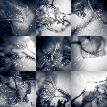 Frozen Collage I von Rob van der Pijll