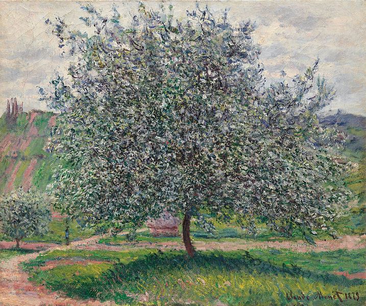 Der Apfelbaum, Claude Monet von Meisterhafte Meister