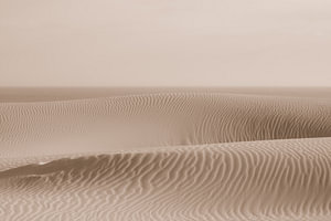 Stranddünen