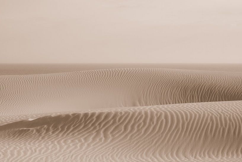 beach dunes by Rik Verslype