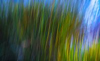 Abstract in groen en blauw