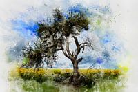 De oude boom