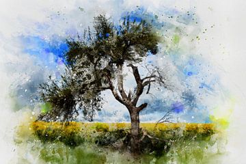 De oude boom