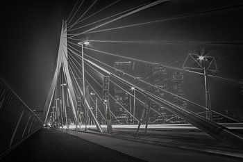 Le pont Erasmus en gris