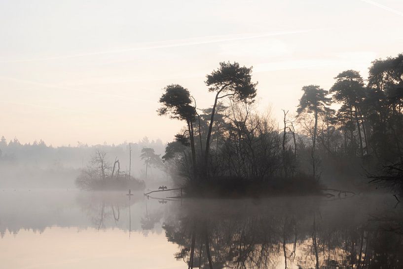 Foggy morning in the Oisterwijkse Vennen by Evelien Oerlemans