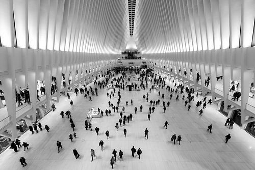 Symmetrie und Licht - Oculus New York in Schwarz und Weiß