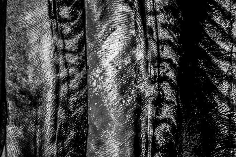 Tiger des Meeres von Niek Traas