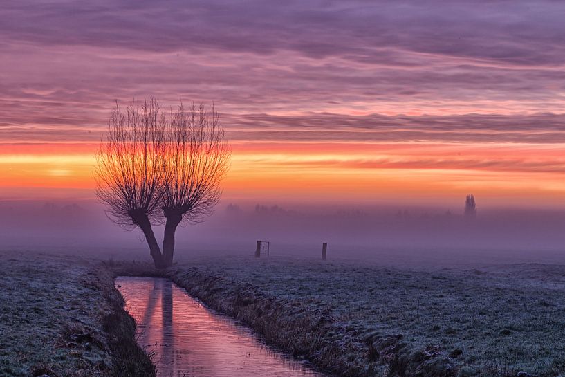Nebel im Polder von Hans Aanen