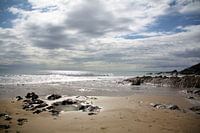 Dollar Cove