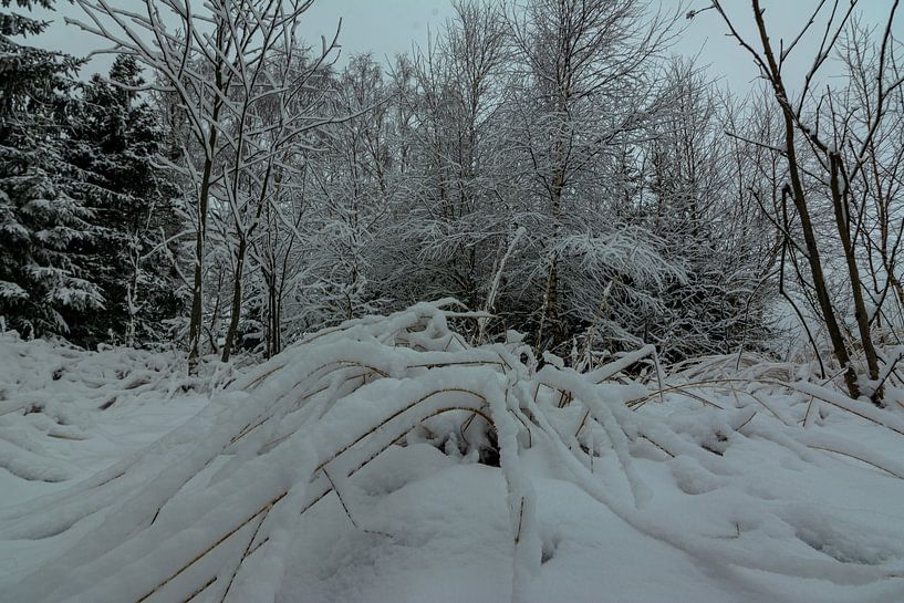 Paysages d'hiver par Johnny Flash