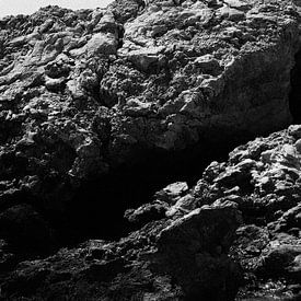 The Oldest Patience van Julie Herck