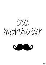 Oui Monsieur by Studio Riba