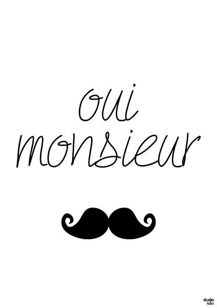 Oui Monsieur by Studio Riba