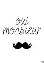 Oui Monsieur by Studio Riba thumbnail
