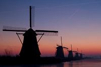 Molens in Kinderdijk