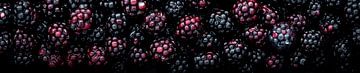 Panorama with fresh Blackberries by Studio XII