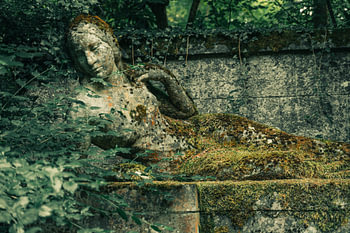 Le caractère éphémère du jardin