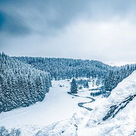 Blick über das Tal vom Rocher du Bieley/Bieley Felsen in Bütgenbach von Daan Duvillier | Dsquared Photography