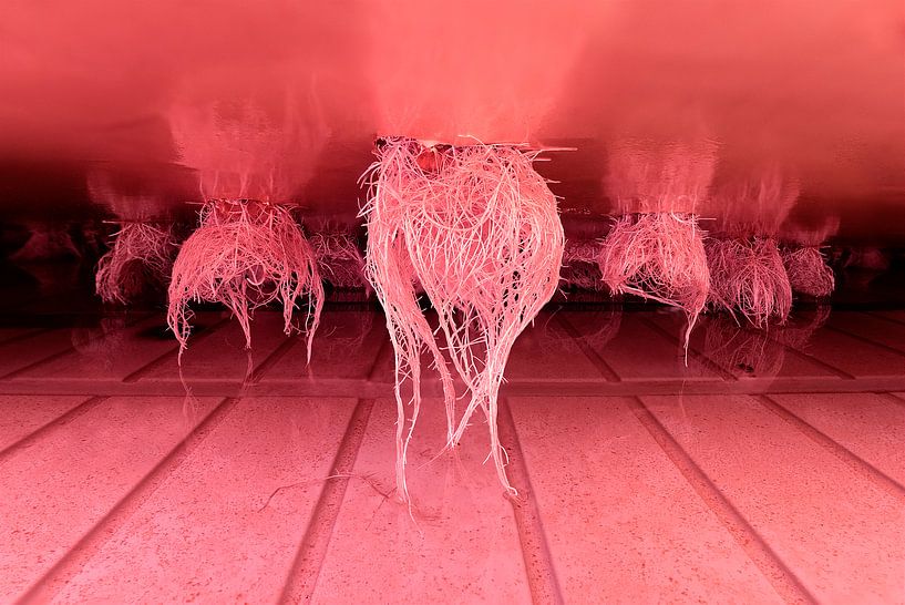 Vertical Agriculture by Bram Becks