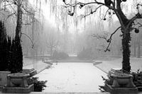Noorderplantsoen in de Winter 6