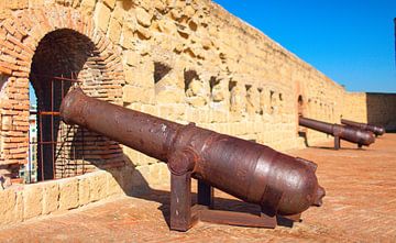 Kanonnen van Castel dell'Ovo (Eierkasteel) Napels, Italië van Yevgen Belich