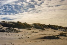 Whispering Dunes by Sebastian Stef