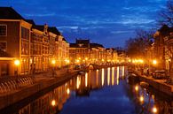 Die Rapenburg in Leiden von Merijn van der Vliet Miniaturansicht