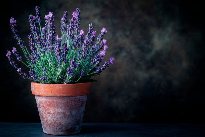 Lavendel Blume von Poster Art Shop