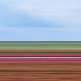 Tulpen Impressionistisch gestreift von Patrick Verhoef