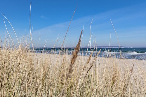 plage de sable fin de la mer Baltique à Binz sur Rügen