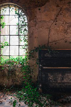 Abandoned Piano by the Ivy Window. by Roman Robroek - Photos of Abandoned Buildings
