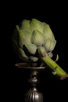 artichoke in the lead role by SO fotografie