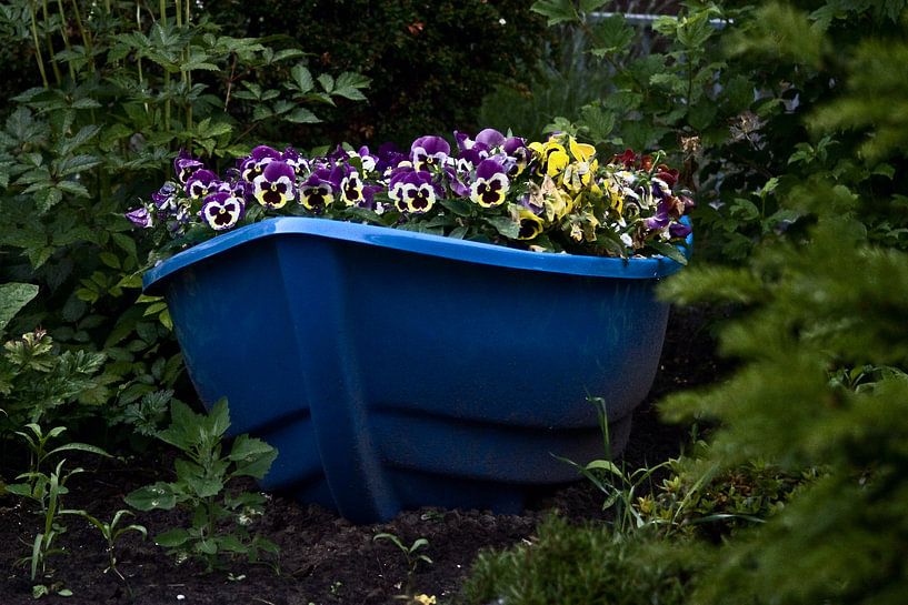 Musicale boot by foto-fantasie foto-fantasie