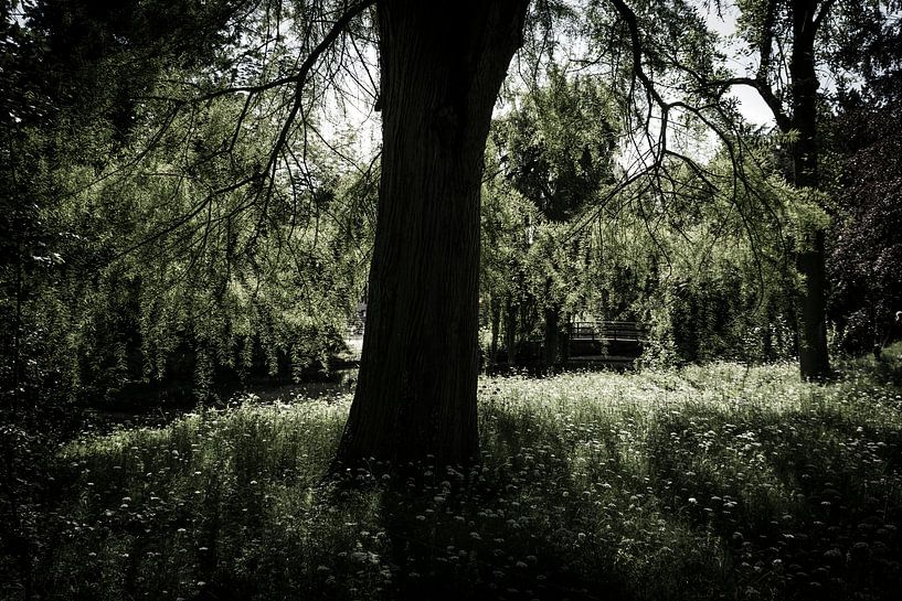Het Park par Kees van der Rest