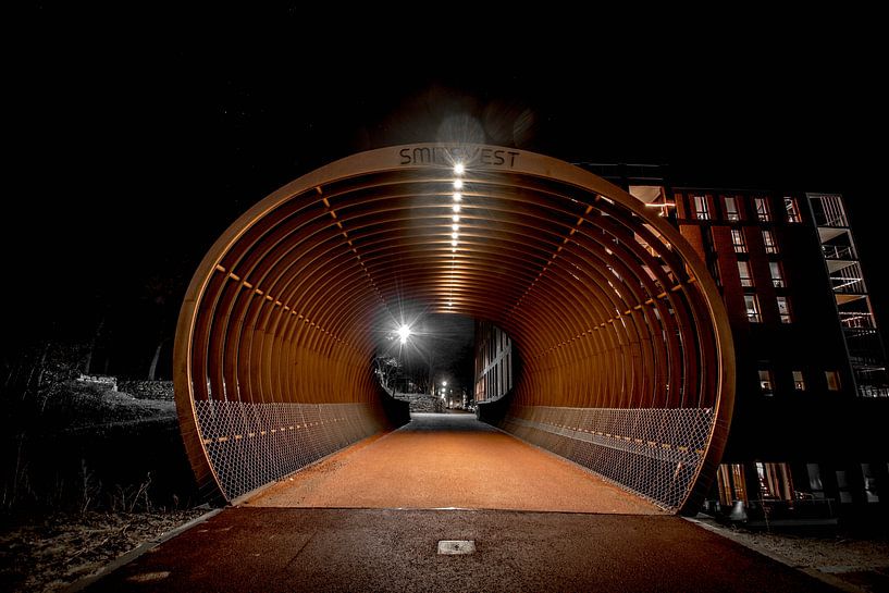 smitsvest in den Bergen auf zoom neue Brücke von Lars Mol