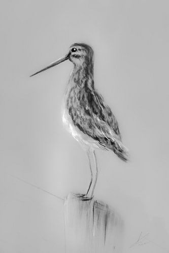 Watersnip zit op een houten paaltje