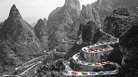 Keverfile van Reinaerde Digiteam Woerden