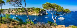 Panorama view of Portals Vells bay with luxury yachts boats by Alex Winter