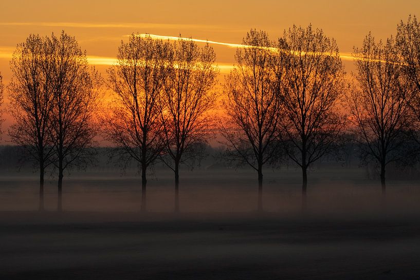 Nederlands landschap, zonsopkomst van Nynke Altenburg