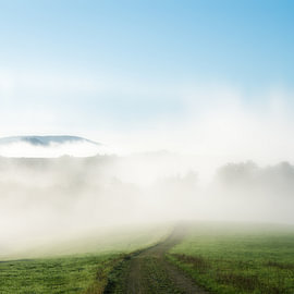 Landscapes