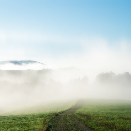 Paysages
