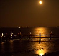 Nacht op de dijk 