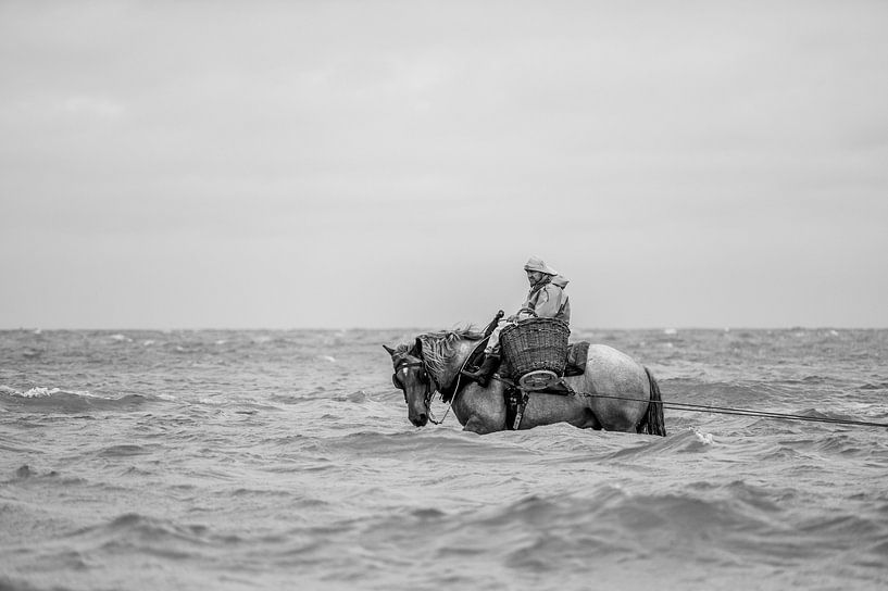 The Shrimp Fisherman by philippe evenepoel