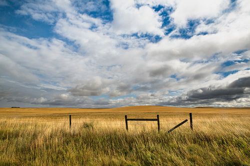 Champ au Canada avec une couverture nuageuse spectaculaire