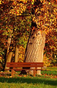 Herbstbank