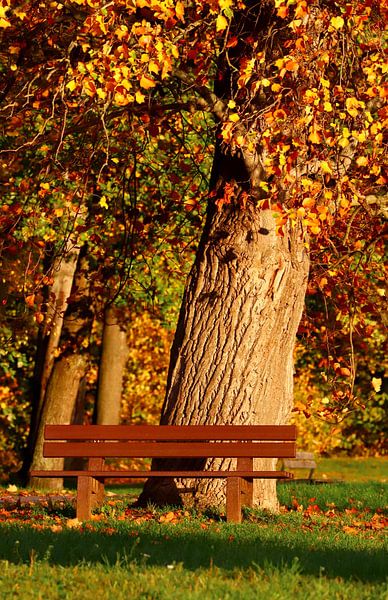 Banque d'automne par Heike Hultsch