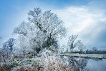 Winterboom in Malgarten van Marita Autering