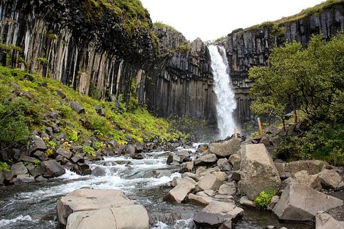 Svartifoss 