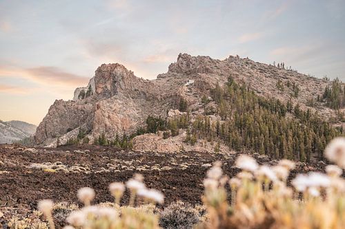 Zerklüftete Landschaft auf Teneriffa