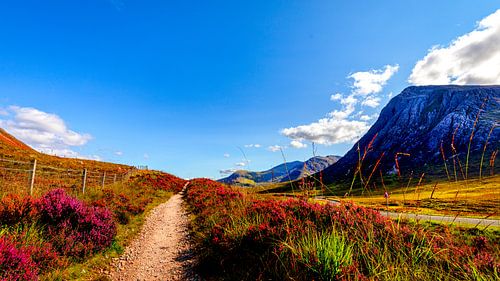 De magnifieke bergen van de Schotse Hooglanden